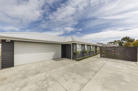 Photo of property in 5b Sandilands Street, Feilding, 4702