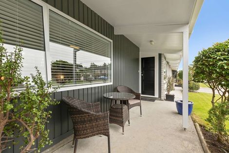 Photo of property in 11 Opawa Place, Terrace End, Palmerston North, 4410
