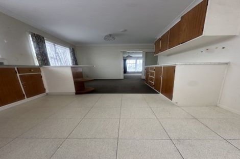 Photo of property in 56 Winchester Street, Levin, 5510