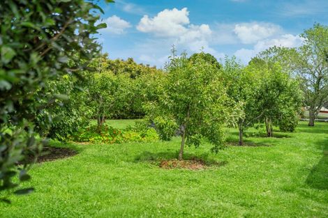 Photo of property in 769 No 1 Road, Te Puke, 3182