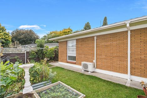 Photo of property in 90b Moorhouse Street, Morrinsville, 3300