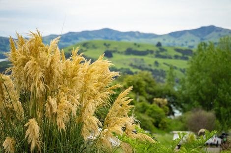 Photo of property in 41 Lighthouse Road, Akaroa, 7520