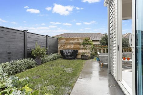 Photo of property in 23 Lili Chen Way, Mangere Bridge, Auckland, 2022