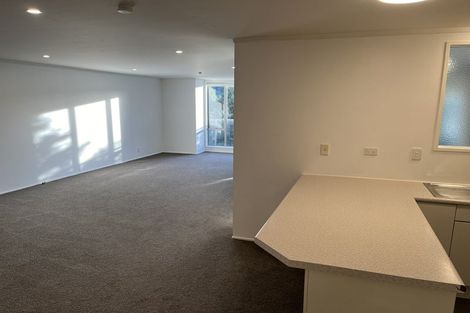 Photo of property in Grosvenor Cl, 6u4 Brown Street, Mount Cook, Wellington, 6021