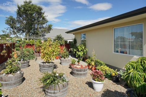 Photo of property in 42b Fuller Street, Kaiapoi, 7630