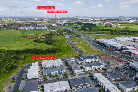 Photo of property in 4 Horo Road, Flat Bush, Auckland, 2019