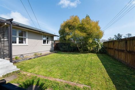 Photo of property in 88a Bruce Avenue, Glenview, Hamilton, 3206