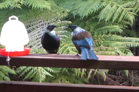 Photo of property in 19 Arabella Road, Opua, 0200