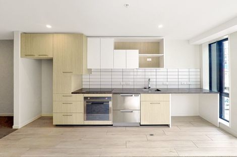 Photo of property in Vsp South, 305/168u Victoria Street, Te Aro, Wellington, 6011