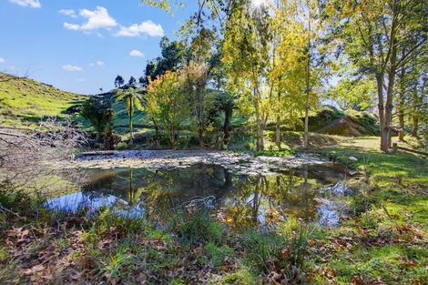 Photo of property in 822 Motukawa Road, Tarata, Inglewood, 4387