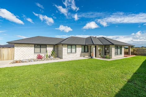 Photo of property in 55 Tawhero Street, Gonville, Whanganui, 4501
