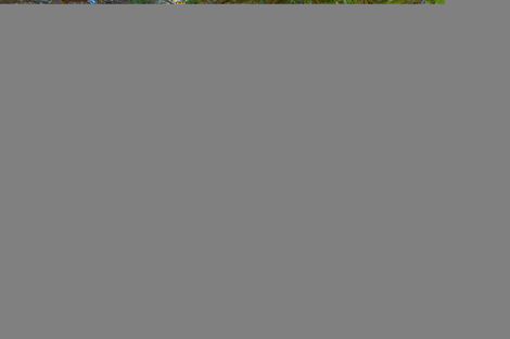 Photo of property in 1154 Te Akau Road South, Te Akau, Ngaruawahia, 3793