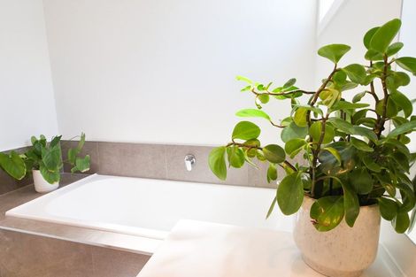 Photo of property in 36 Bluff Road, Kenepuru, Porirua, 5022