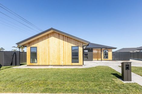 Photo of property in 143 Eriksen Road, Meeanee, Napier, 4110