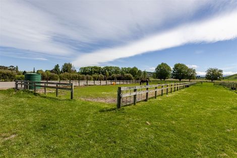 Photo of property in 273 Lindsay Road, Waipukurau, 4283