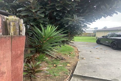 Photo of property in 4 Volta Place, Clendon Park, Auckland, 2103