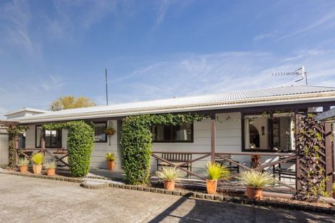 Photo of property in 1008b Konini Street, Mahora, Hastings, 4120
