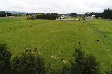Photo of property in 39 Laws Road, Dannevirke, 4972