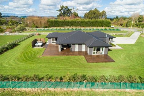 Photo of property in 140 Mount Biggs Road, Halcombe, 4779