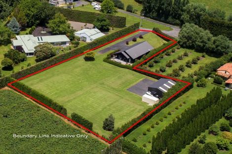Photo of property in 20 Plane Tree Lane, Tauriko, Tauranga, 3110