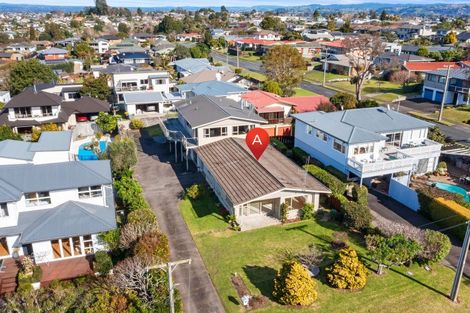 Photo of property in 45a Hinewa Road, Otumoetai, Tauranga, 3110