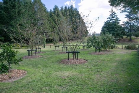 Photo of property in 117 Main Road, Tirau, 3410