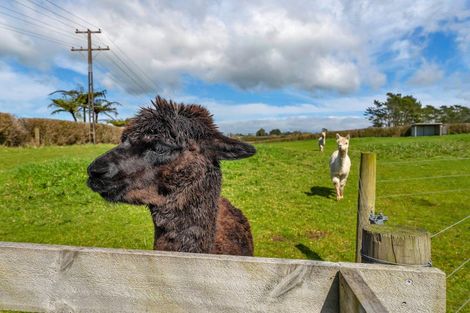 Photo of property in 376 Monmouth Road, Pembroke, Stratford, 4394