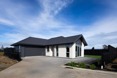 Photo of property in 12 Crawford Lane, Morrinsville, 3300