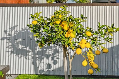 Photo of property in 145a Mayfair Avenue, Whangamata, 3620