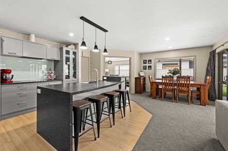 Photo of property in 323 Southland Place, Raureka, Hastings, 4120