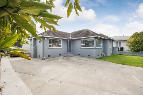 Photo of property in 345 Tremaine Avenue, Takaro, Palmerston North, 4412