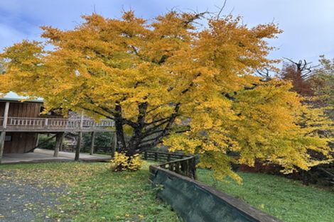 Photo of property in 158 Tunnel Road, Puhoi, Warkworth, 0994