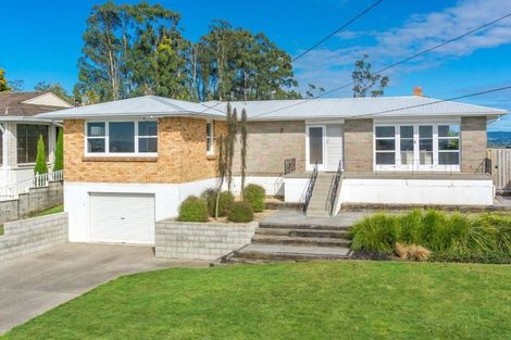 Photo of property in 53 Newcastle Road, Dinsdale, Hamilton, 3204