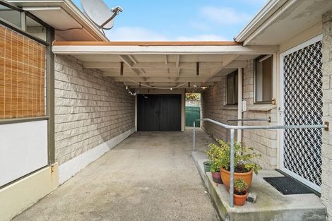 Photo of property in 235c Bay View Road, Saint Clair, Dunedin, 9012