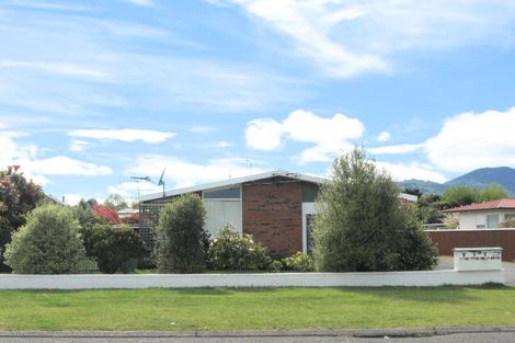 Photo of property in 22 Kaka Street, Taupo, 3330