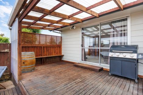 Photo of property in 20 Wills Crescent, Ashhurst, 4810