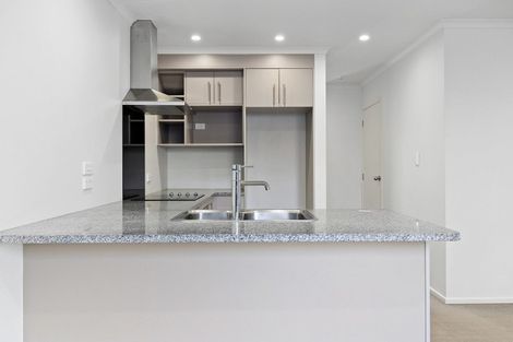 Photo of property in 201u2 Ulster Street, Whitiora, Hamilton, 3200