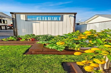 Photo of property in 145a Mayfair Avenue, Whangamata, 3620