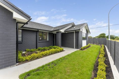 Photo of property in 11 Kauri Place, Pahiatua, 4910