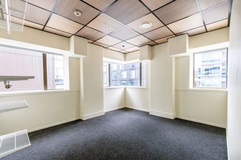Photo of property in Te Kainga Te Aka, 203 Willis Street, Te Aro, Wellington, 6011
