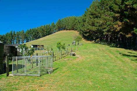 Photo of property in 1215 Wharekopae Road, Ngatapa, Gisborne, 4072