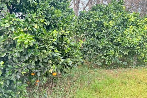 Photo of property in 3043 Far Road North, Waiharara, Kaitaia, 0484