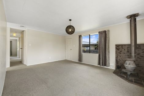 Photo of property in 253 Sinclair Terrace, Te Awamutu, 3800