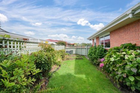 Photo of property in 242 Ness Street, Appleby, Invercargill, 9812