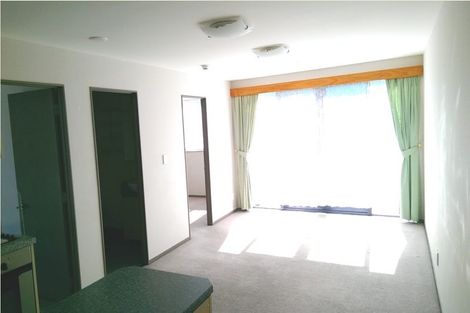 Photo of property in Dual Apartments, 108/142u Vivian Street, Te Aro, Wellington, 6011