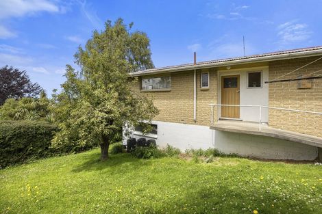 Photo of property in 51b Argyle Street, Mornington, Dunedin, 9011