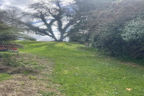 Photo of property in 102 Tirau Street, Putaruru, 3411