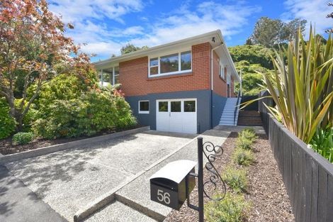 Photo of property in 56 Woodhaugh Street, Woodhaugh, Dunedin, 9010