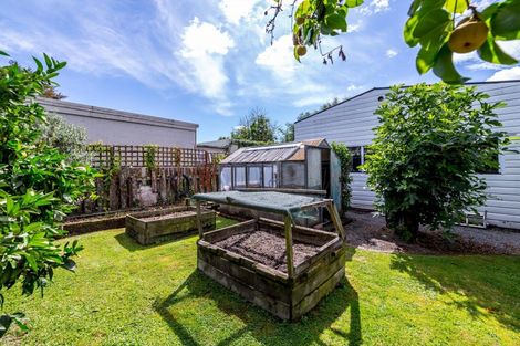 Photo of property in 60 Cole Street, Masterton, 5810