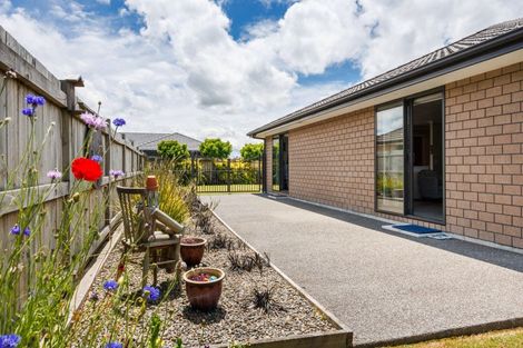 Photo of property in 33 Accolade Street, Feilding, 4702